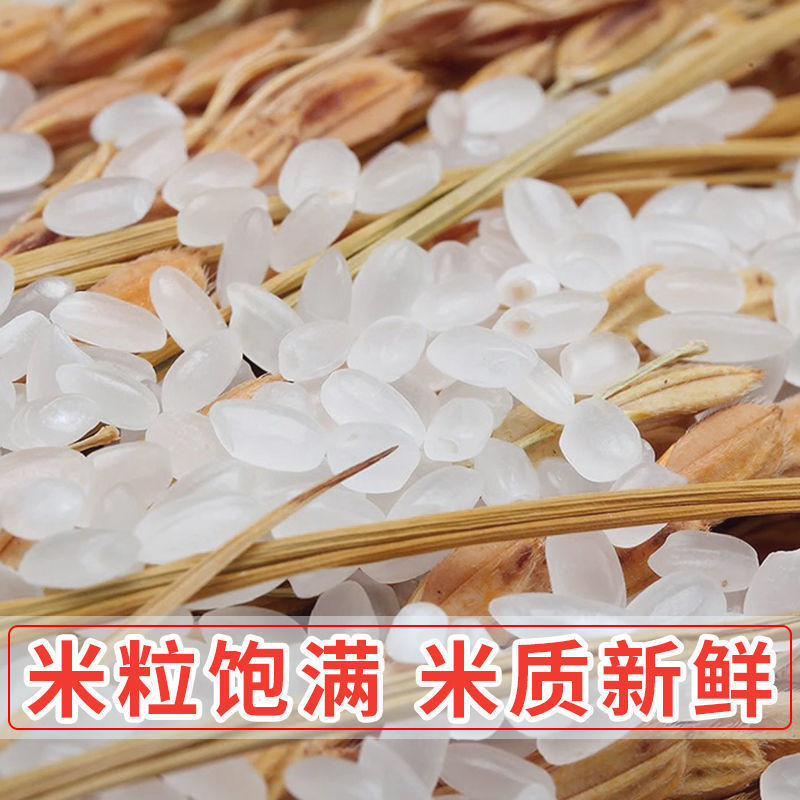 珍珠米，东北大米，产地直发，保质保量，欢迎选购