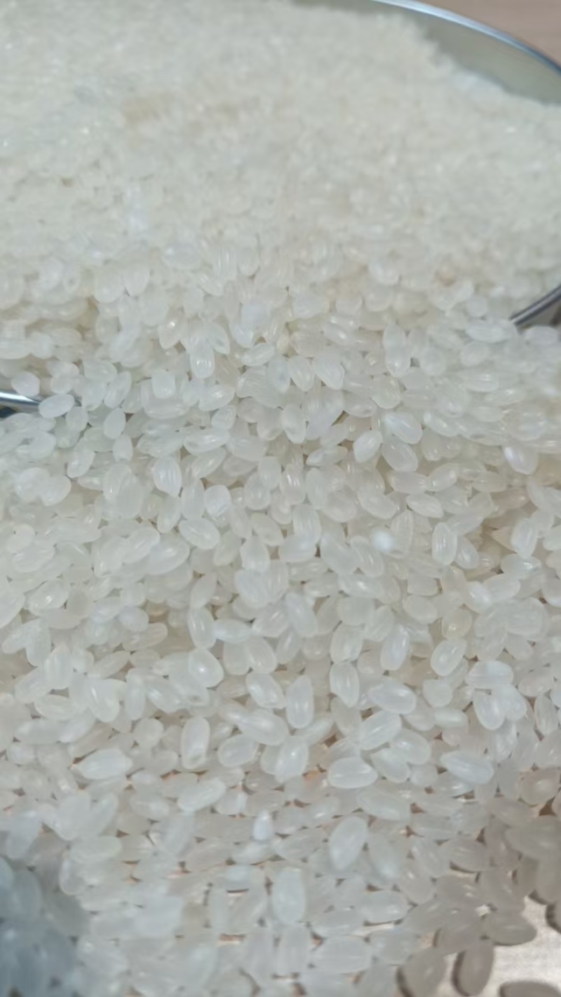 珍珠米，东北大米，产地直发，保质保量，欢迎选购