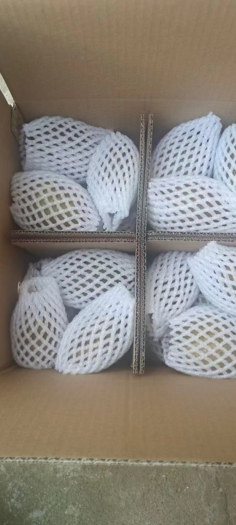 瑞玉猕猴桃量大质优价格优惠一手货源欢迎各大老板咨询
