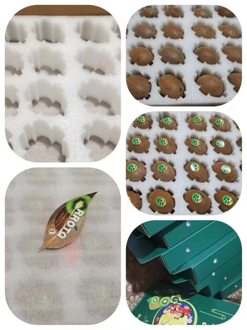 瑞玉猕猴桃量大质优价格优惠一手货源欢迎各大老板咨询