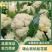 精品松花菜菜花有机散花实花青梗白面小米粒一手货