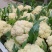 安徽宿州松花菜散花青梗白面小米粒产地直发