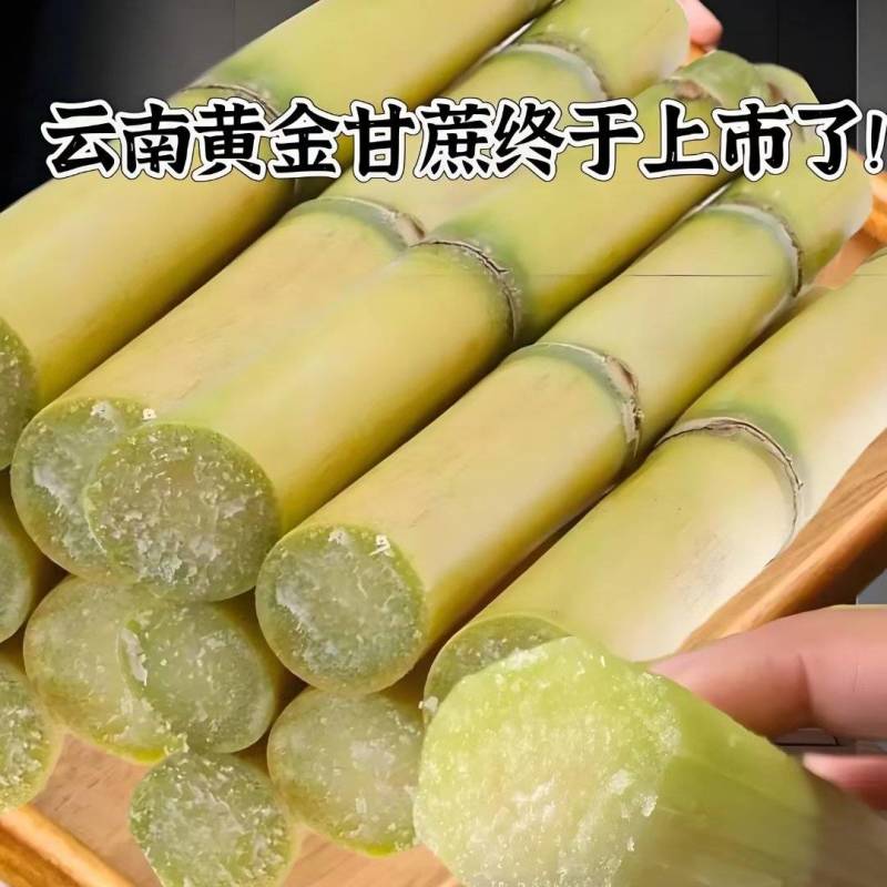 云南黄金甘蔗上市了，现砍现发，一手货源，全国发货，质量好