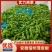 安徽薄皮椒鲜辣椒芜湖椒一手货源产地直发