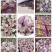 中牟大蒜长年供货，主营蒜米料，一般混级，中混级，大混级