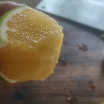 冰糖橙