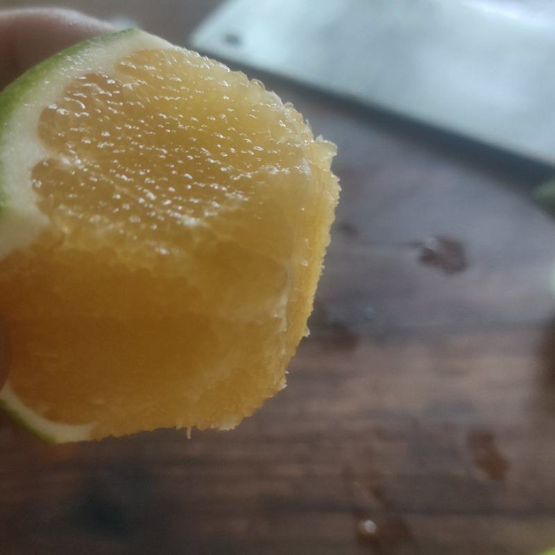 冰糖橙
