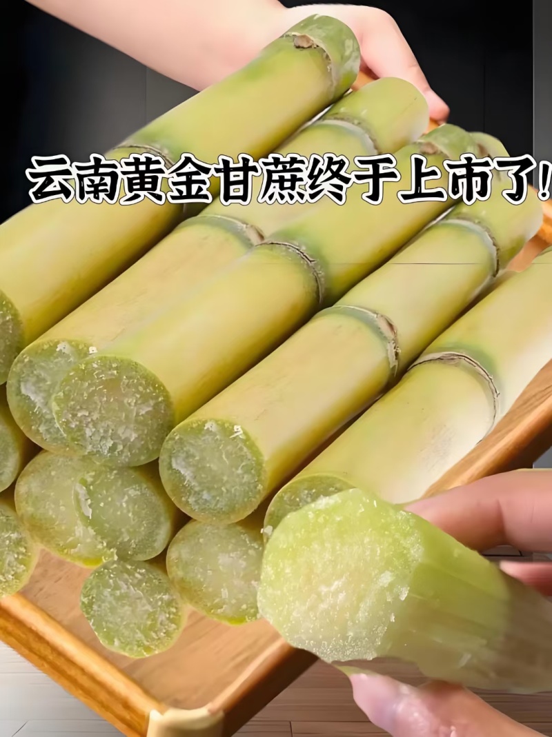 云南黄金甘蔗上市了，现砍现发，一手货源，全国发货，质量好
