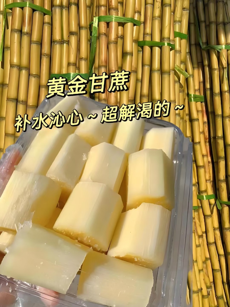 云南黄金甘蔗上市了，现砍现发，一手货源，全国发货，质量好