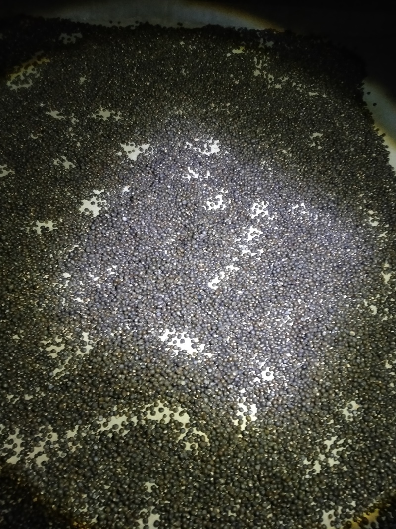 那位朋友想要文冠果种子？请联系电话***********