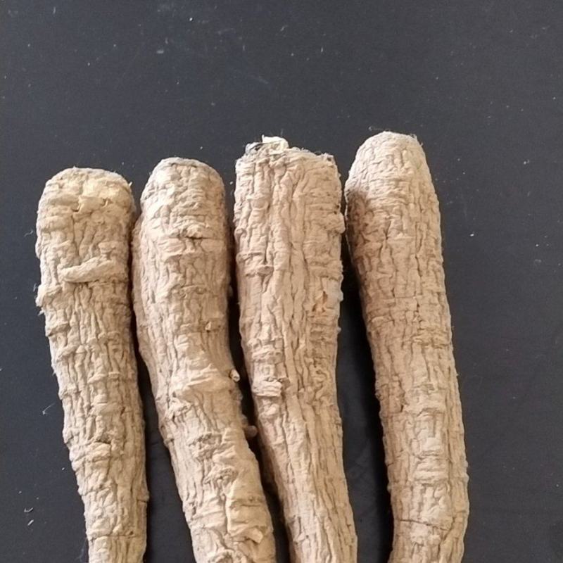 无硫白芷