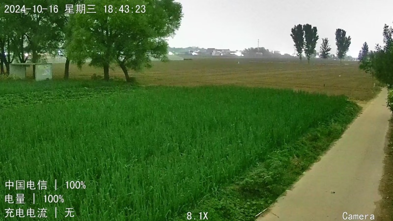 量大批发，鸡腿大葱