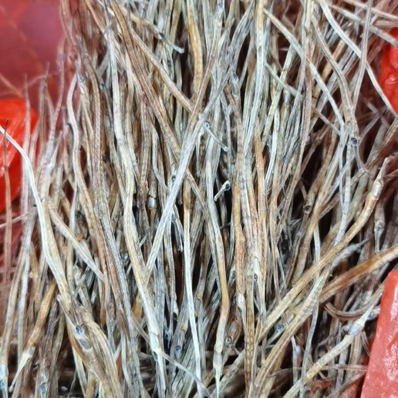 海龙干深海小海龙海龙鱼鱼干泡酒海龙干，中药海龙干