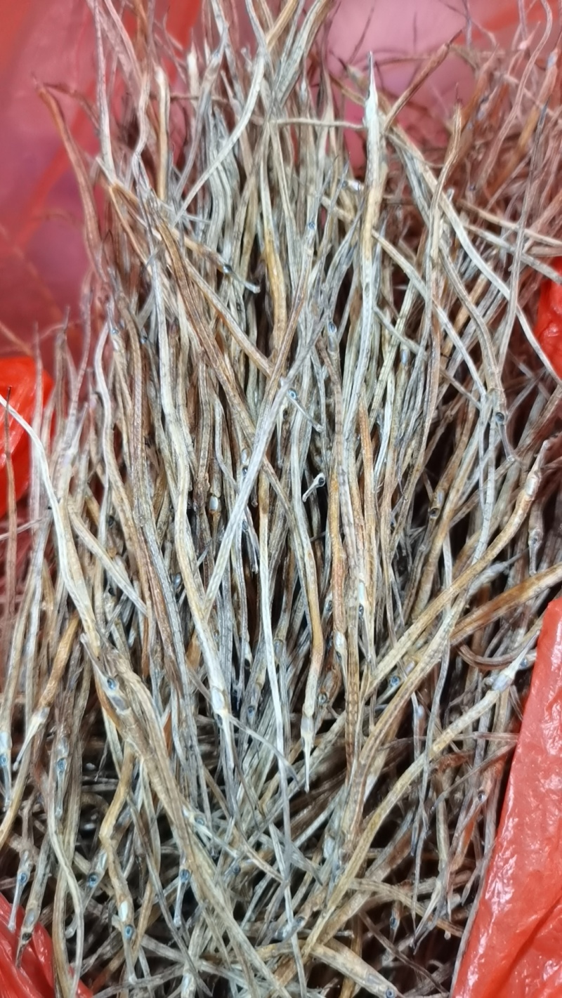 海龙干深海小海龙海龙鱼鱼干泡酒海龙干，中药海龙干
