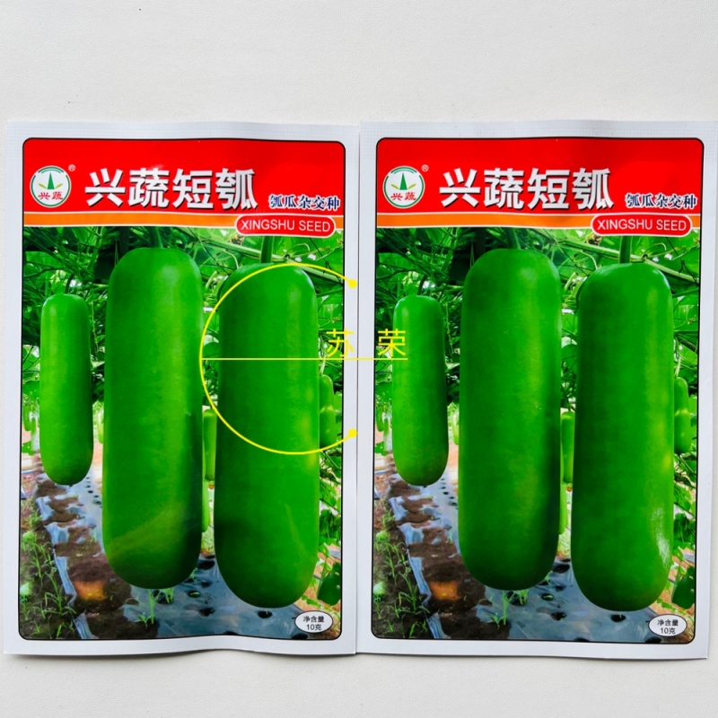 兴蔬短瓠种子杂交瓠瓜种籽肉质细腻脆嫩味清甜短棒形