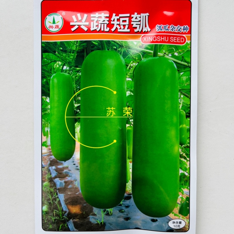 兴蔬短瓠种子杂交瓠瓜种籽肉质细腻脆嫩味清甜短棒形