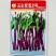 兴蔬五彩紫苔2号红菜苔种子早中熟65天无蜡粉无苦味紫红