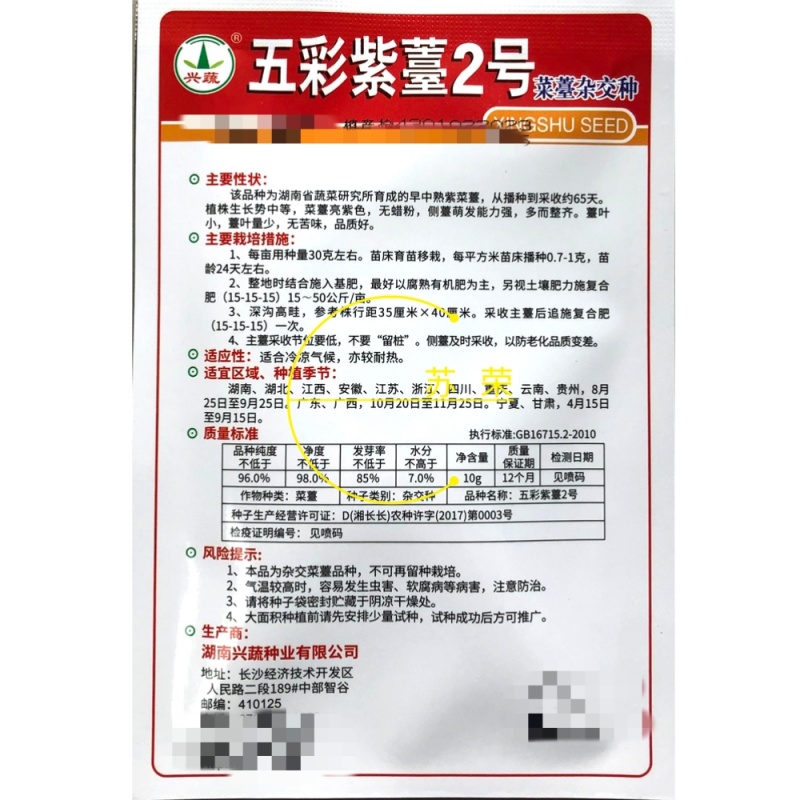 兴蔬五彩紫苔2号红菜苔种子早中熟65天无蜡粉无苦味紫红