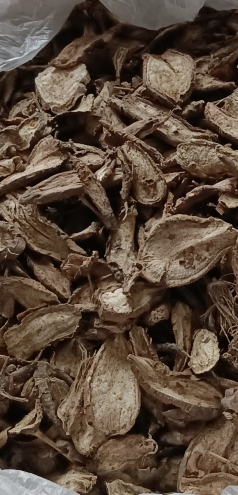 白蔹水洗切片