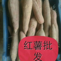 秦五
