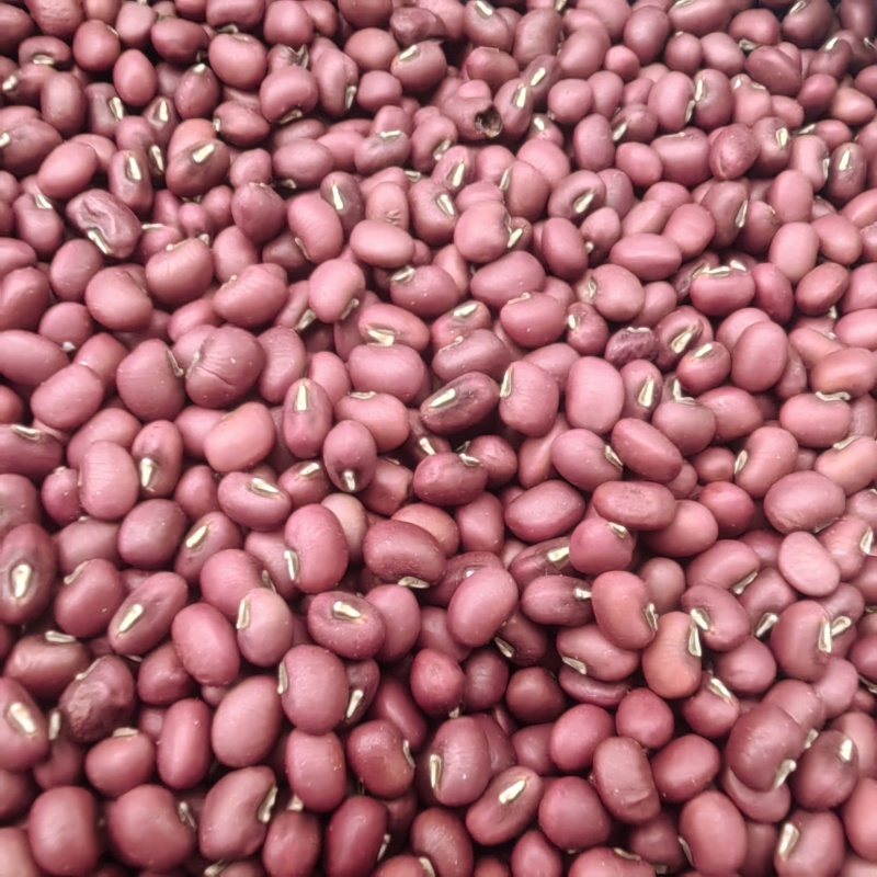 【精选】红豆量大从优保质保量对接全国基地直发