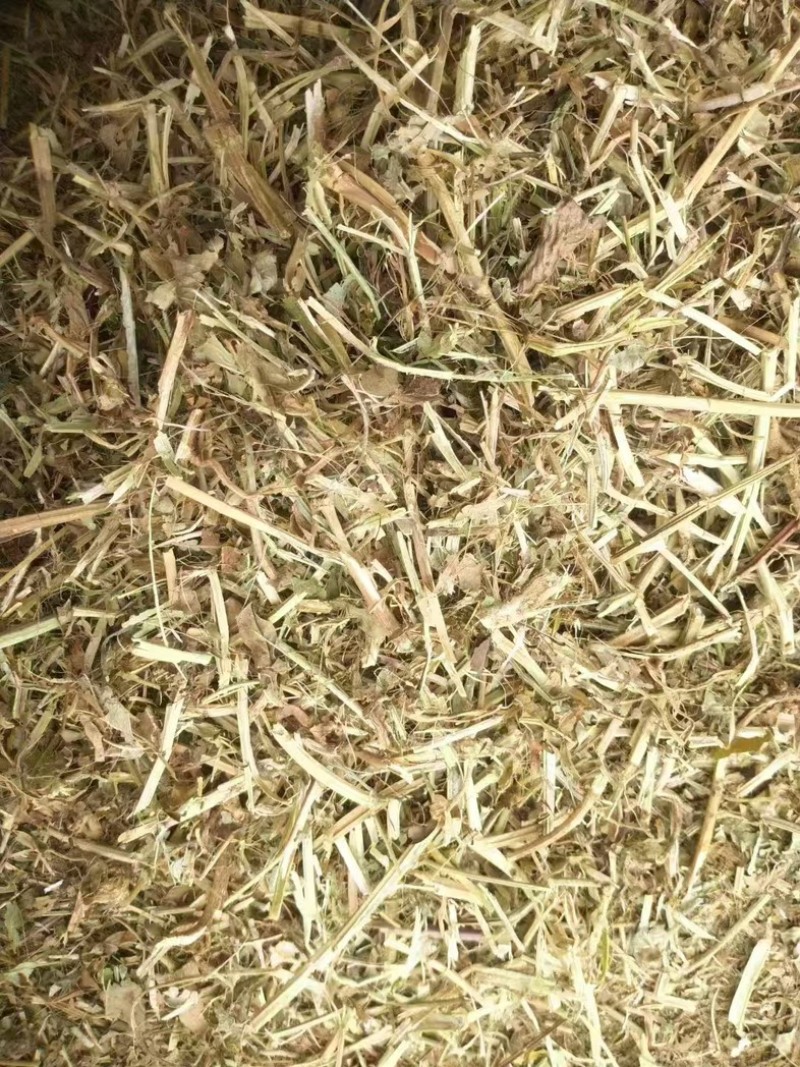 优质花生秧大量供应，无土无霉，质量保证，可视频看货