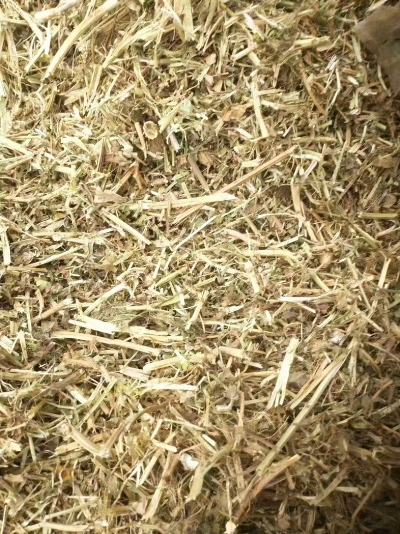 优质花生秧大量供应，无土无霉，质量保证，可视频看货