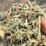 河南花生秧，优质花生秧产地直发，保质保量，无土，无膜