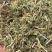 河南花生秧，优质花生秧产地直发，保质保量，无土，无膜