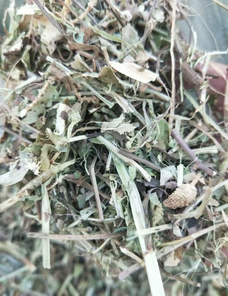 河南花生秧，优质花生秧产地直发，保质保量，无土，无膜