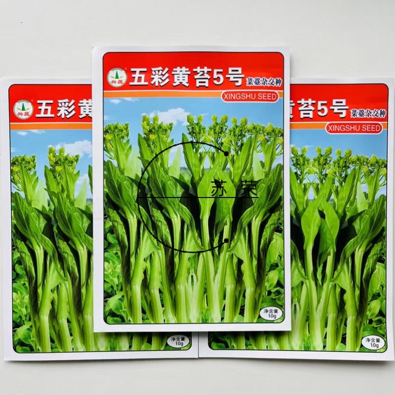 兴蔬五彩黄菜苔5号中熟黄绿甜菜心种子肥嫩苔粗品质好