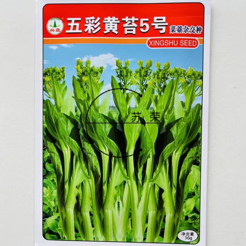 兴蔬五彩黄菜苔5号中熟黄绿甜菜心种子肥嫩苔粗品质好