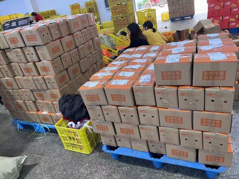 九月红果冻橙，新鲜产地直供，包邮全国，汁多味甜橙香浓郁