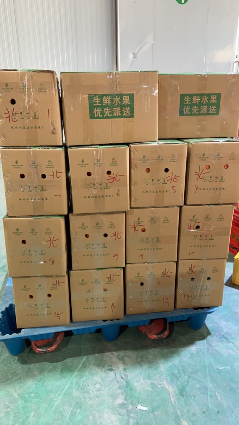 九月红果冻橙，新鲜产地直供，包邮全国，汁多味甜橙香浓郁