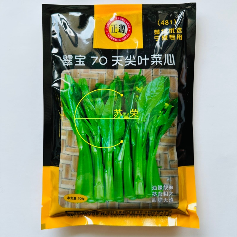 翠宝70天尖叶菜心种子高产茎苔粗大甜脆无渣菜苔种籽