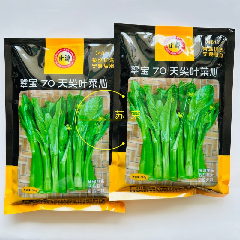 翠宝70天尖叶菜心种子高产茎苔粗大甜脆无渣菜苔种籽