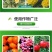 黄叶8天绿西班牙螯合铁肥冲施果树黄叶变绿花卉蔬菜通用