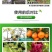 黄叶8天绿西班牙螯合铁肥冲施果树黄叶变绿花卉蔬菜通用