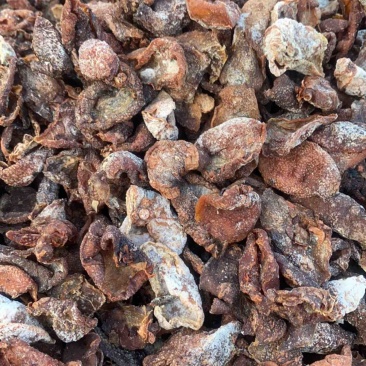 龙檬子干，或山竹子干