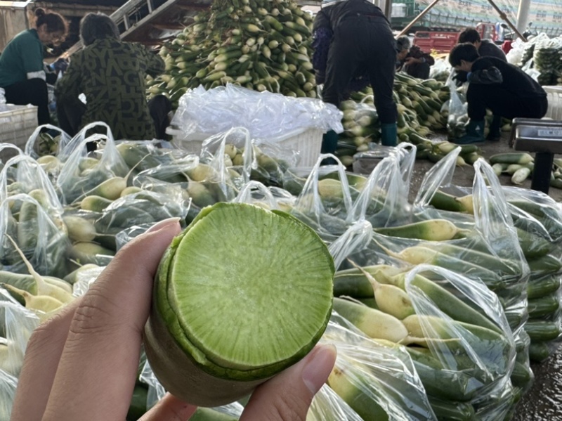 【畅销】青萝卜，可精洗打包，安徽淮南凤台县