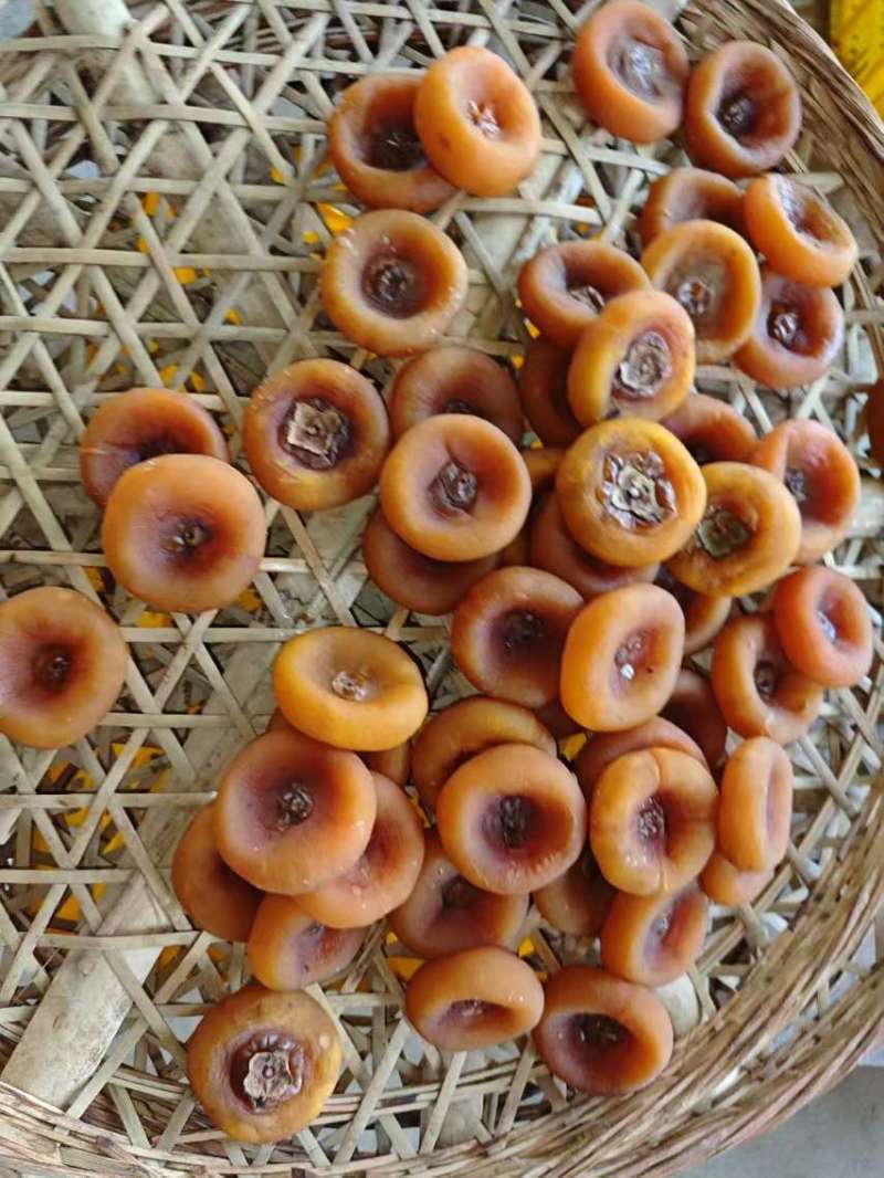 广西特色柿饼工厂直发量大从优保质保量对接全国
