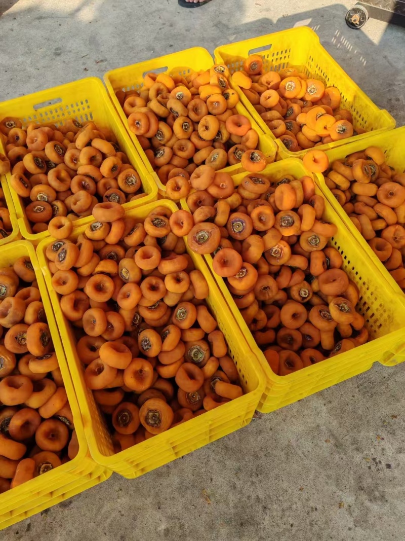 广西特色柿饼工厂直发量大从优保质保量对接全国