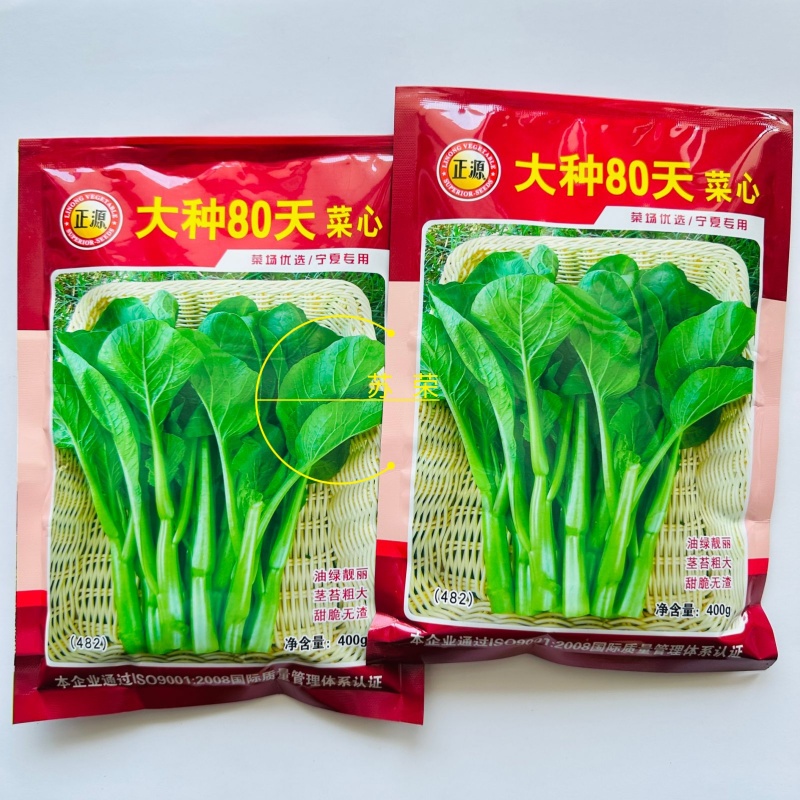正源大种80天菜心种子油绿甜脆无渣茎苔粗大菜场优选矮脚绿