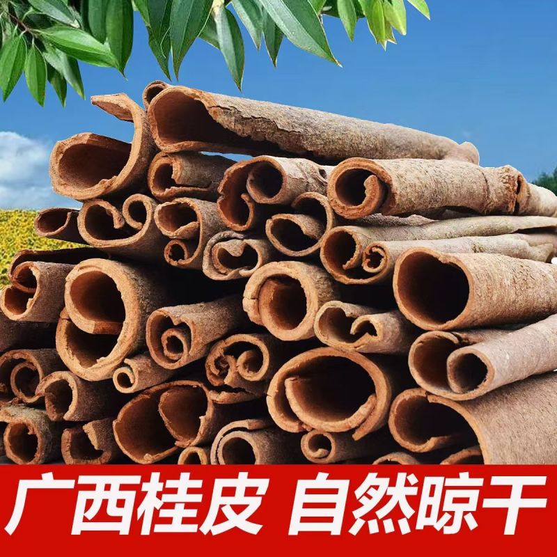 广西烟仔桂肉桂桂皮品质好价格低全干香料批发全国发货