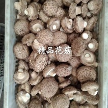 香菇