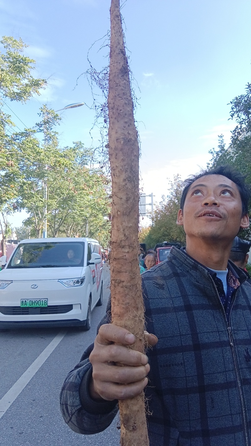 贵州蔬菜
