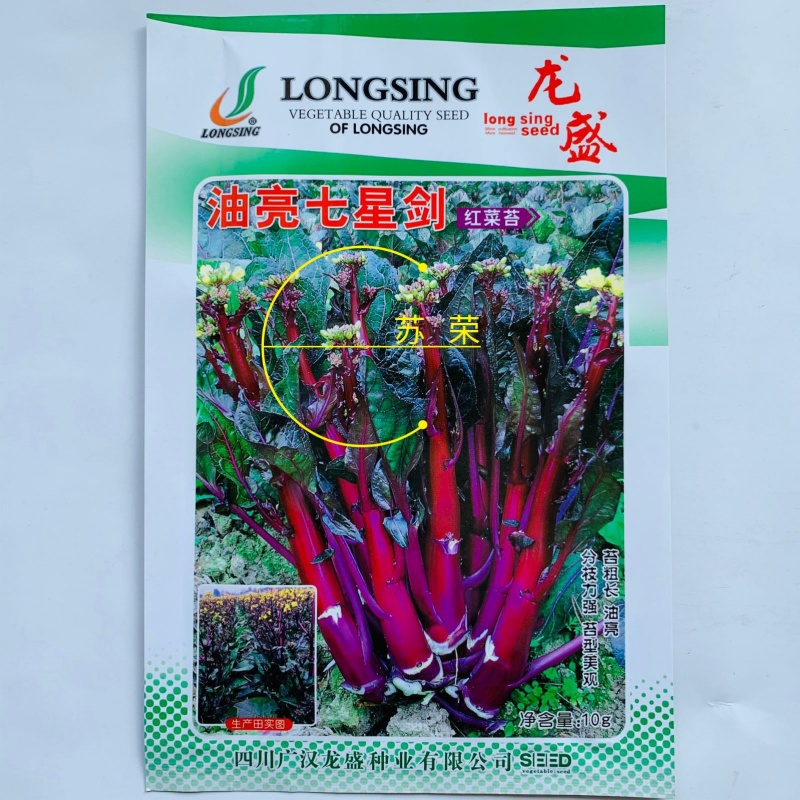 龙盛油亮七星剑红菜苔种子正宗紫红色菜薹种子中熟分枝性强