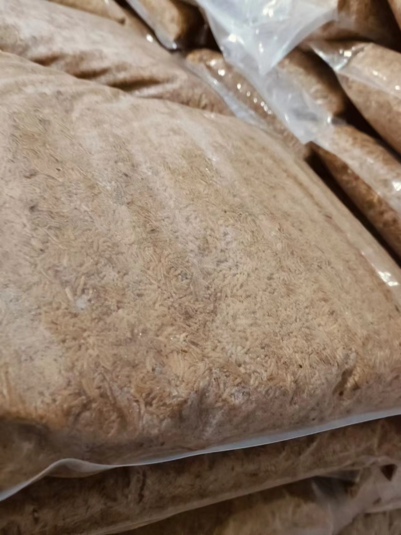 蝇蛆活虫，冻虫出售，有需要的老板请联系