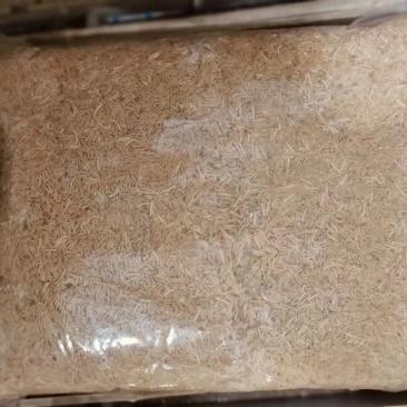蝇蛆活虫，冻虫出售，有需要的老板请联系