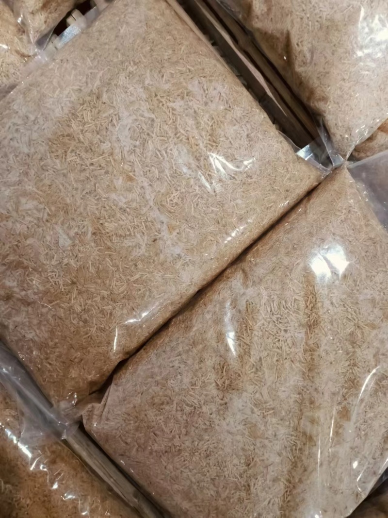 蝇蛆活虫，冻虫出售，有需要的老板请联系